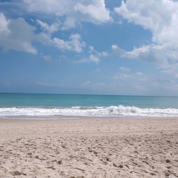 Meet your Posher, Dianna - Picture 1 of 11